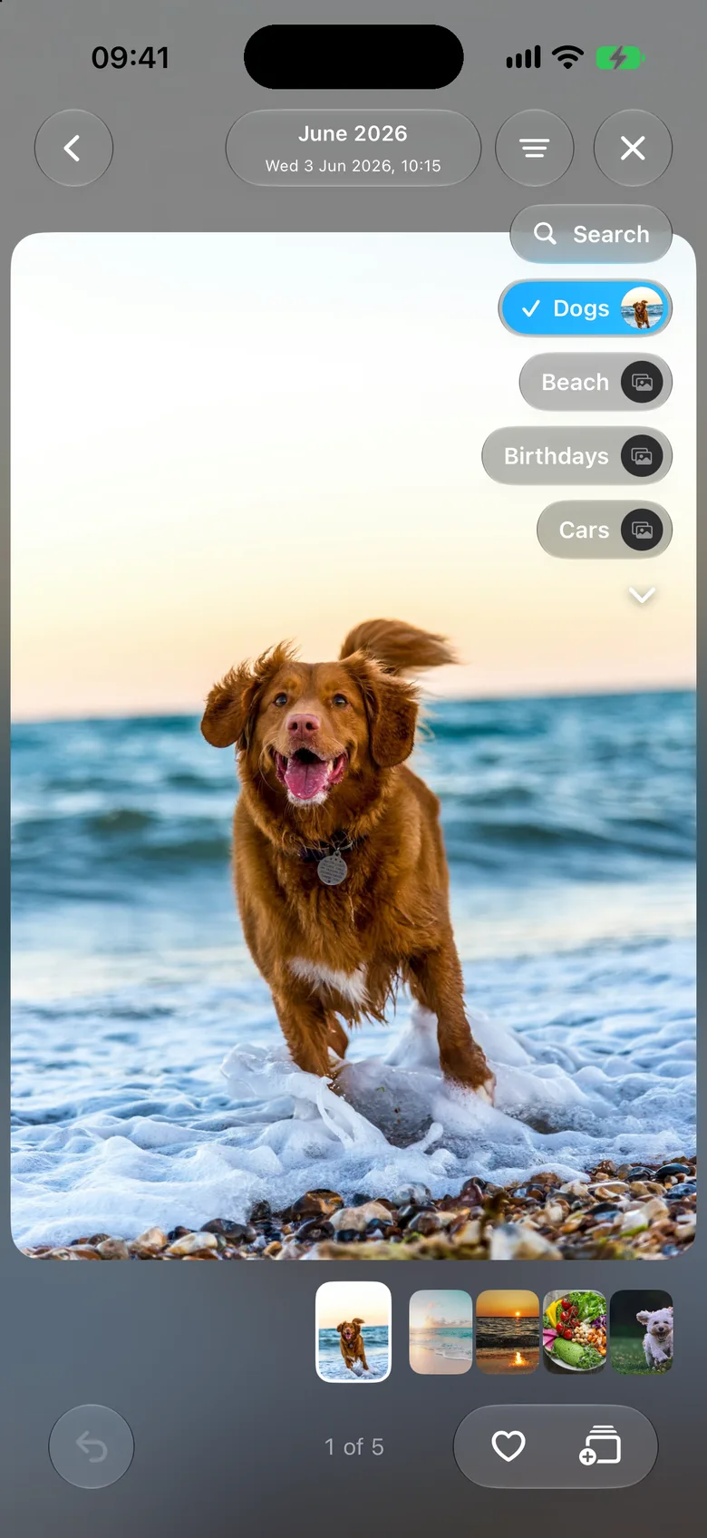 A dog photo with the albums list open beside it and the Dogs album chosen